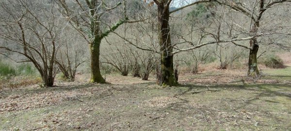 terreno agricolo in vendita a Giffoni Valle Piana in zona Curti