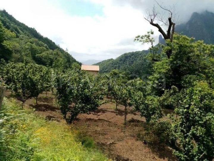 casa indipendente in vendita a Giffoni Valle Piana in zona Sovvieco
