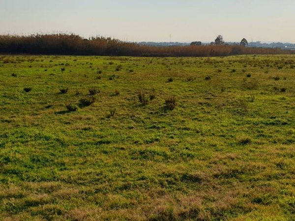 terreno agricolo in vendita a Giffoni Valle Piana in zona Santa Maria a Vico