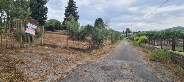 terreno agricolo in vendita a Giffoni Valle Piana