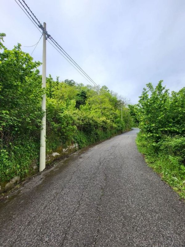 terreno agricolo in vendita a Giffoni Valle Piana