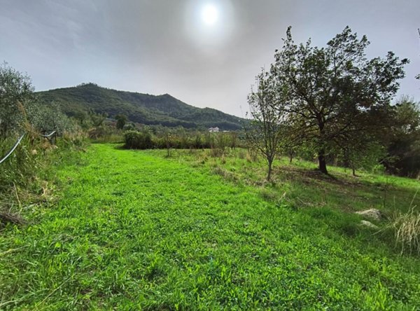 terreno in vendita a Giffoni Valle Piana in zona Ornito