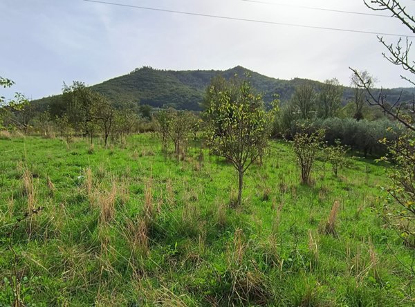 terreno in vendita a Giffoni Valle Piana in zona Ornito