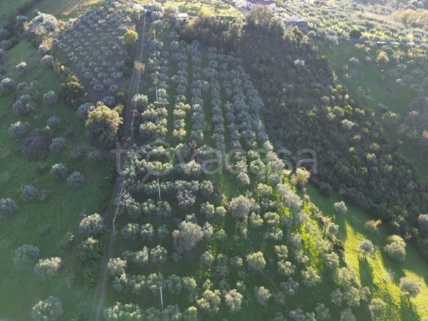 terreno agricolo in vendita a Giungano
