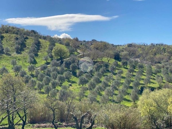 terreno agricolo in vendita a Giungano
