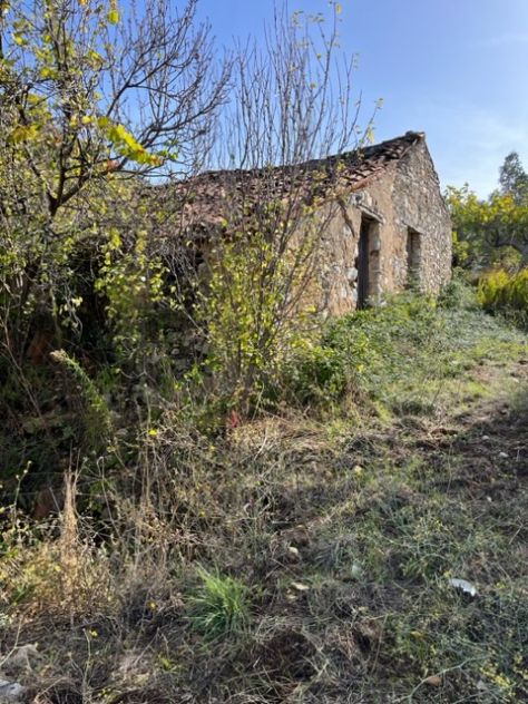 terreno agricolo in vendita a Giungano