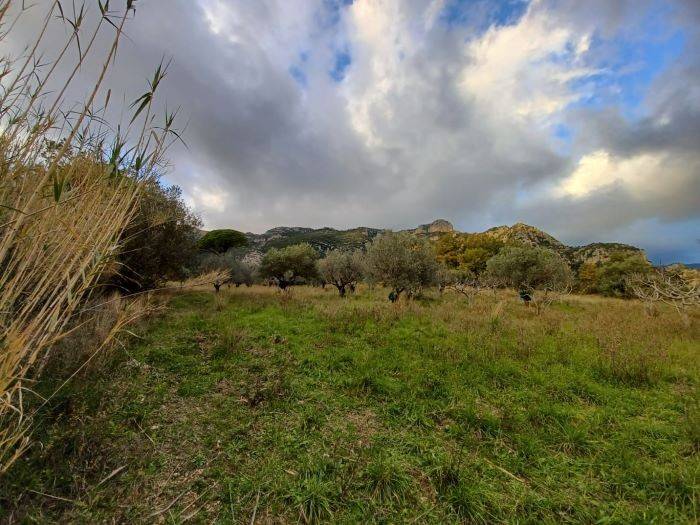 terreno agricolo in vendita a Giungano