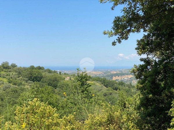 terreno agricolo in vendita a Giungano