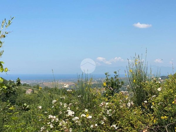 terreno agricolo in vendita a Giungano