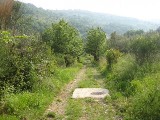 terreno agricolo in vendita a Giungano