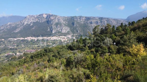 terreno agricolo in vendita a Giungano