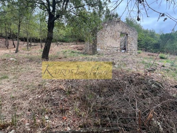 villetta a schiera in vendita a Giungano