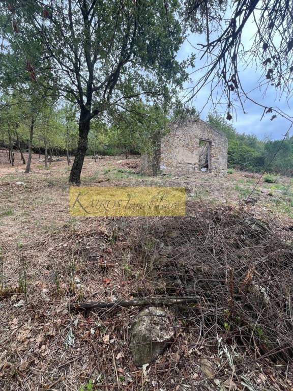 villetta a schiera in vendita a Giungano