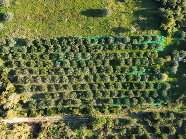 terreno agricolo in vendita a Giungano