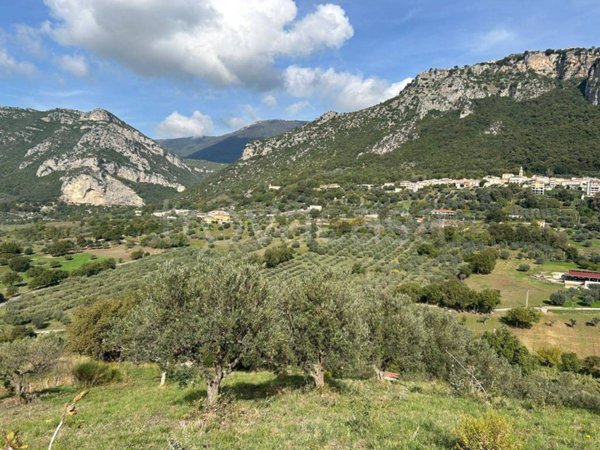 terreno agricolo in vendita a Giungano