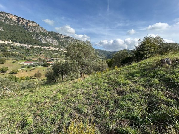 terreno agricolo in vendita a Giungano