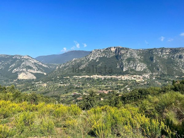 terreno agricolo in vendita a Giungano