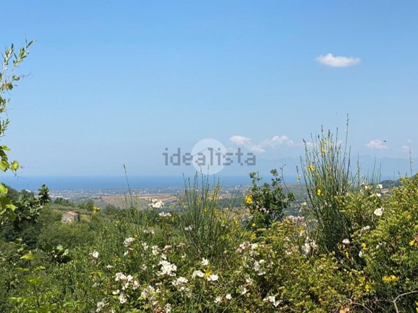 terreno agricolo in vendita a Giungano