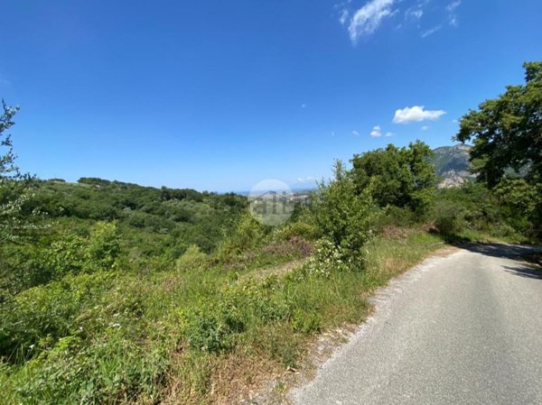 terreno agricolo in vendita a Giungano