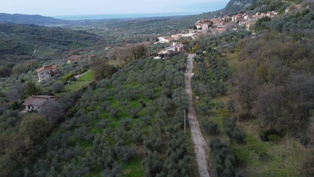 terreno agricolo in vendita a Giungano