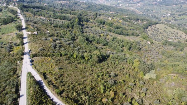 terreno agricolo in vendita a Giungano