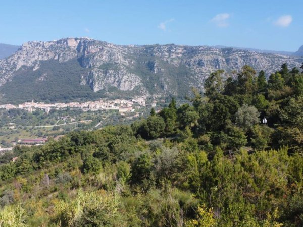 terreno agricolo in vendita a Giungano