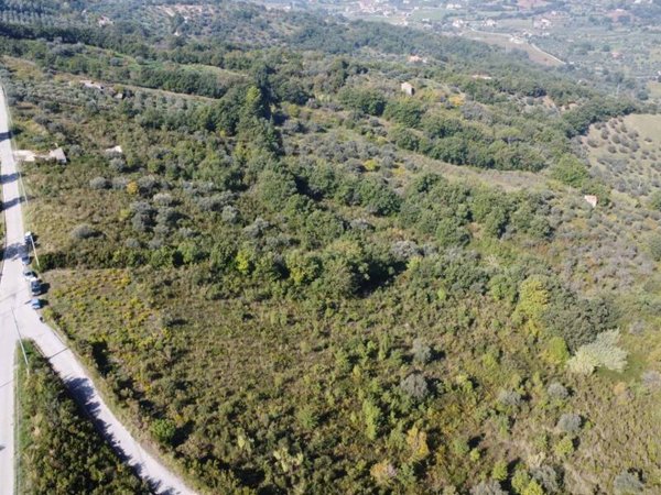 terreno agricolo in vendita a Giungano