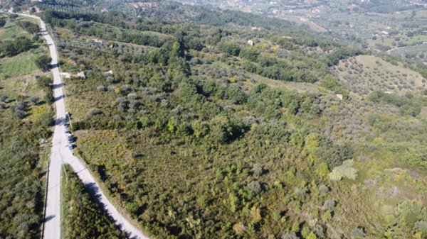 terreno agricolo in vendita a Giungano