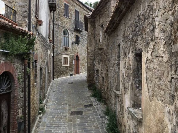casa indipendente in vendita a Laureana Cilento