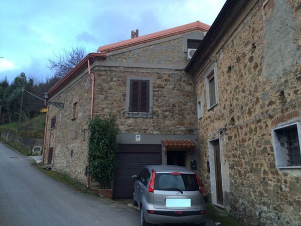 casa indipendente in vendita a Laureana Cilento