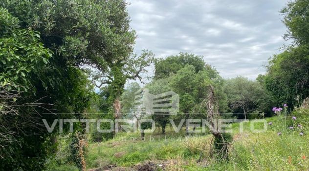 bifamiliare in vendita a Laureana Cilento