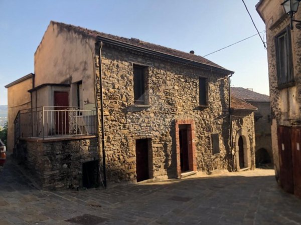 casa indipendente in vendita a Laureana Cilento