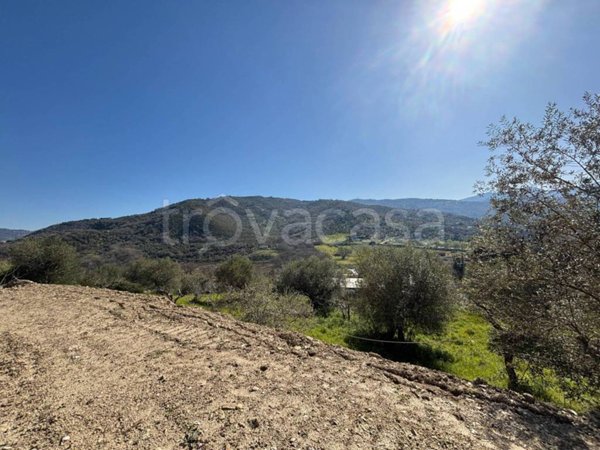 casa indipendente in vendita a Laureana Cilento