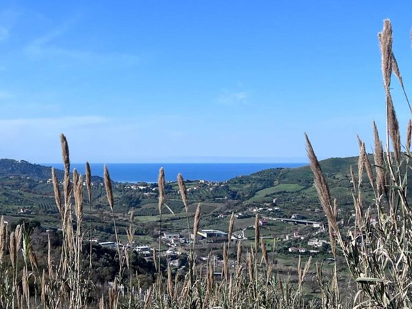 terreno agricolo in vendita a Laureana Cilento