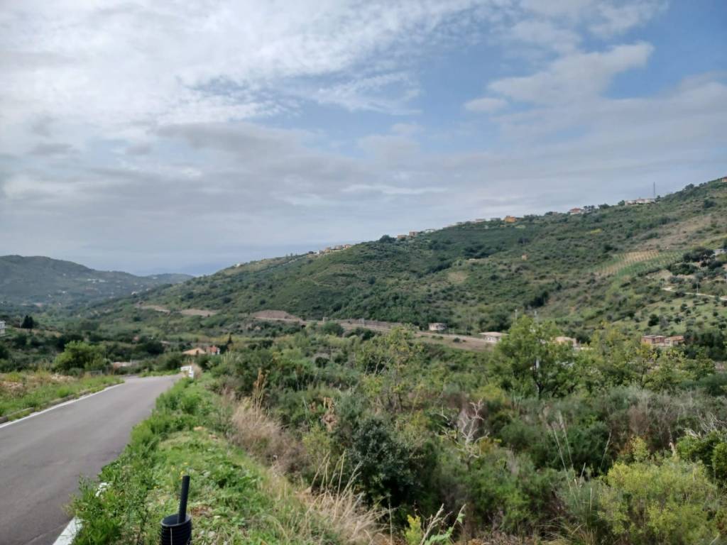 terreno agricolo in vendita a Laureana Cilento