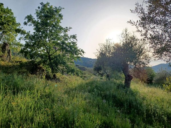 terreno agricolo in vendita a Laureana Cilento