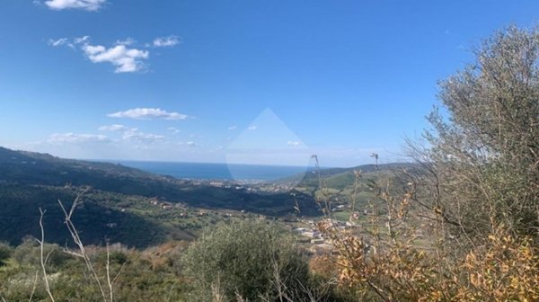 terreno agricolo in vendita a Laureana Cilento