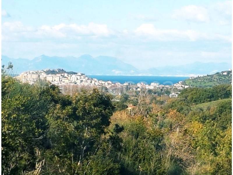 terreno agricolo in vendita a Laureana Cilento