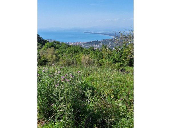 casale in vendita a Laureana Cilento