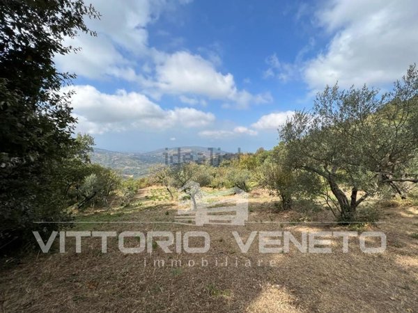 terreno agricolo in vendita a Laureana Cilento