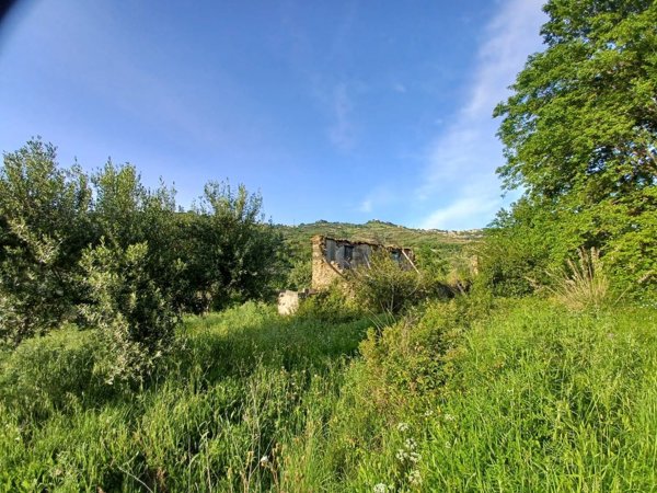 casa indipendente in vendita a Laureana Cilento