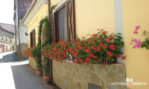 appartamento in vendita a Laureana Cilento