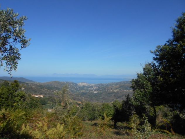 rudere in vendita a Laureana Cilento