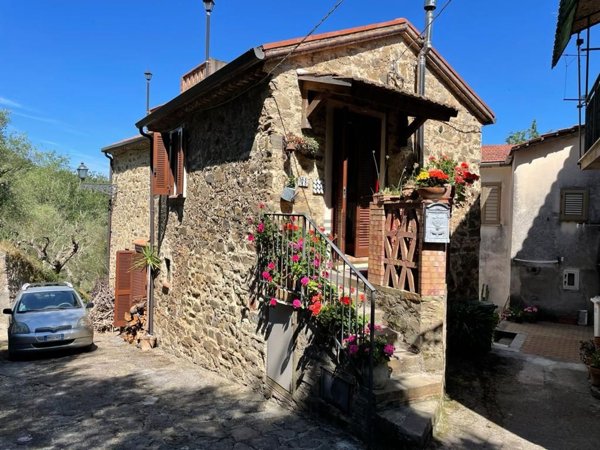 casa indipendente in vendita a Laureana Cilento