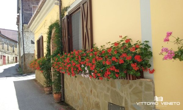 casa indipendente in vendita a Laureana Cilento
