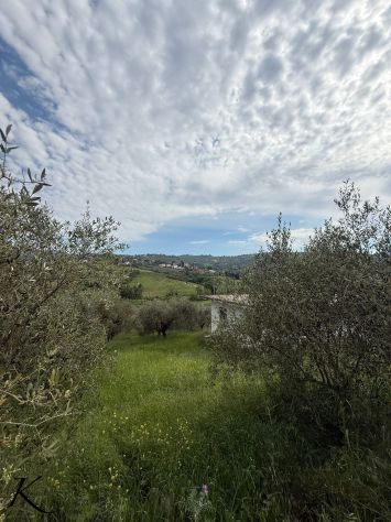 terreno agricolo in vendita a Laureana Cilento