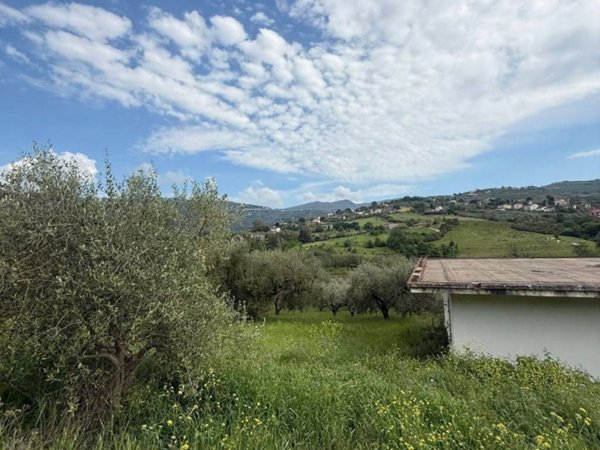 terreno agricolo in vendita a Laureana Cilento