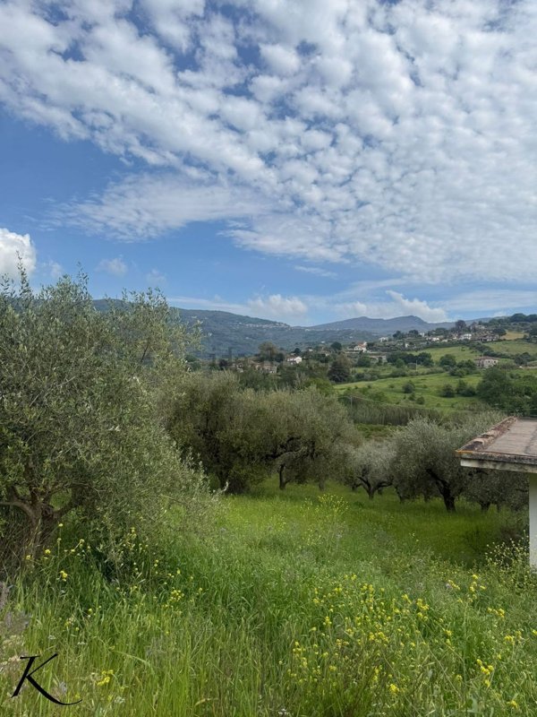 terreno agricolo in vendita a Laureana Cilento