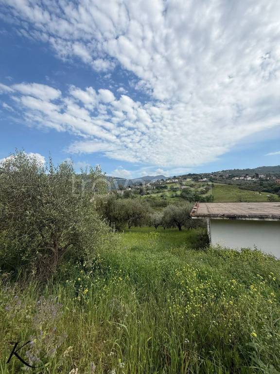 terreno agricolo in vendita a Laureana Cilento
