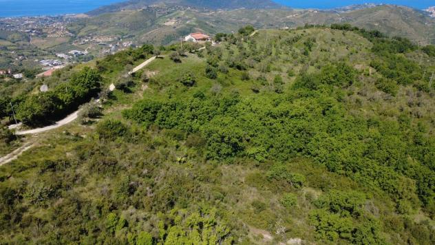 casa indipendente in vendita a Laureana Cilento